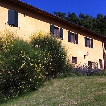 B&B Cal Torello Urbino Exteriör bild